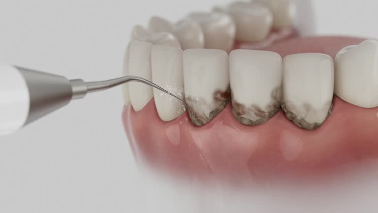Reliable Dental contractor in Holiday Island, AR by Dentist Open Now